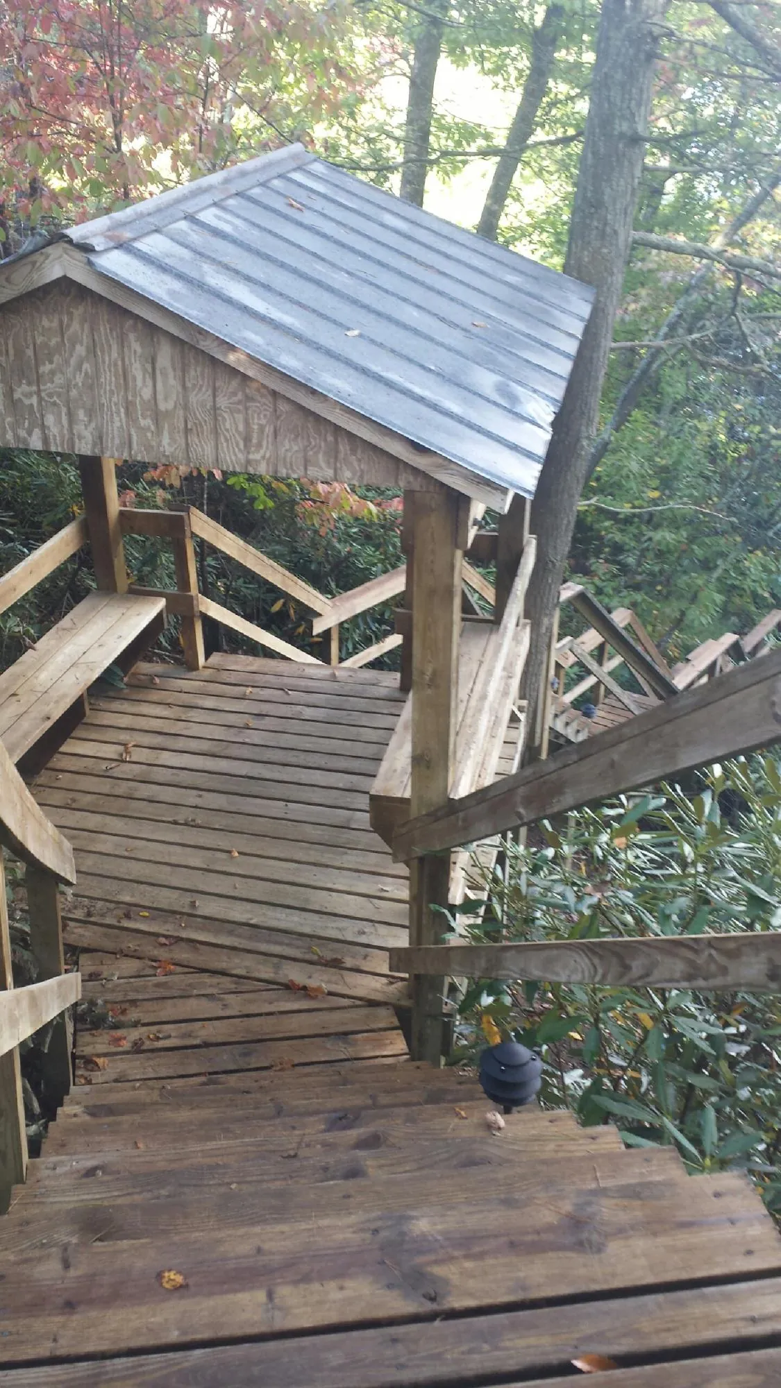 Metal roofed shelter over wooden steps on a wooded walkway — Skylight Repair & Installation work by our crew in Lake Stevens