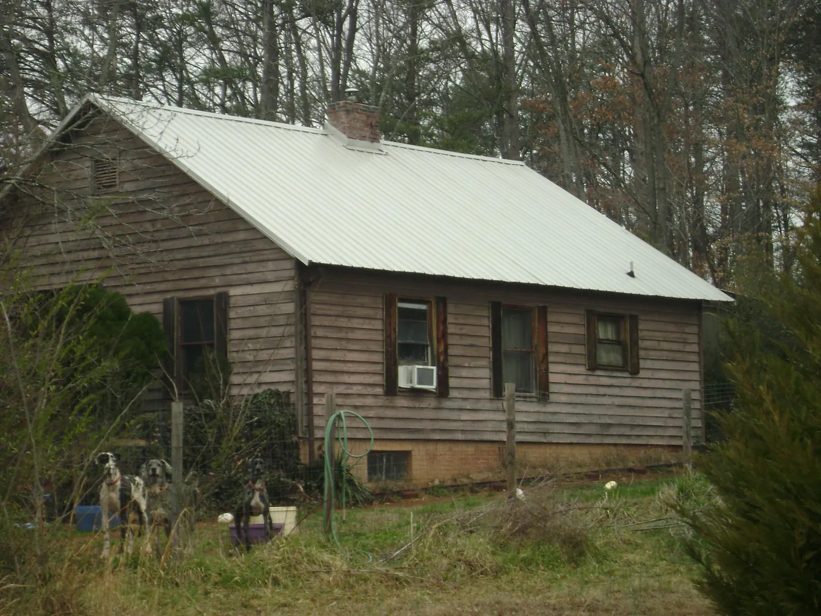 White metal roof on an old wood sided farmhouse, from a Metal Roof Installation job in Lake Stevens